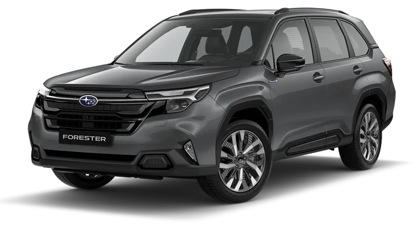 Forester - Magnetite Gray Metallic